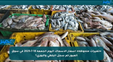 «تغيرات ملحوظة» أسعار الأسماك اليوم الجمعة 18-7-2025 في سوق العبور كم سجل البلطي والبوري؟